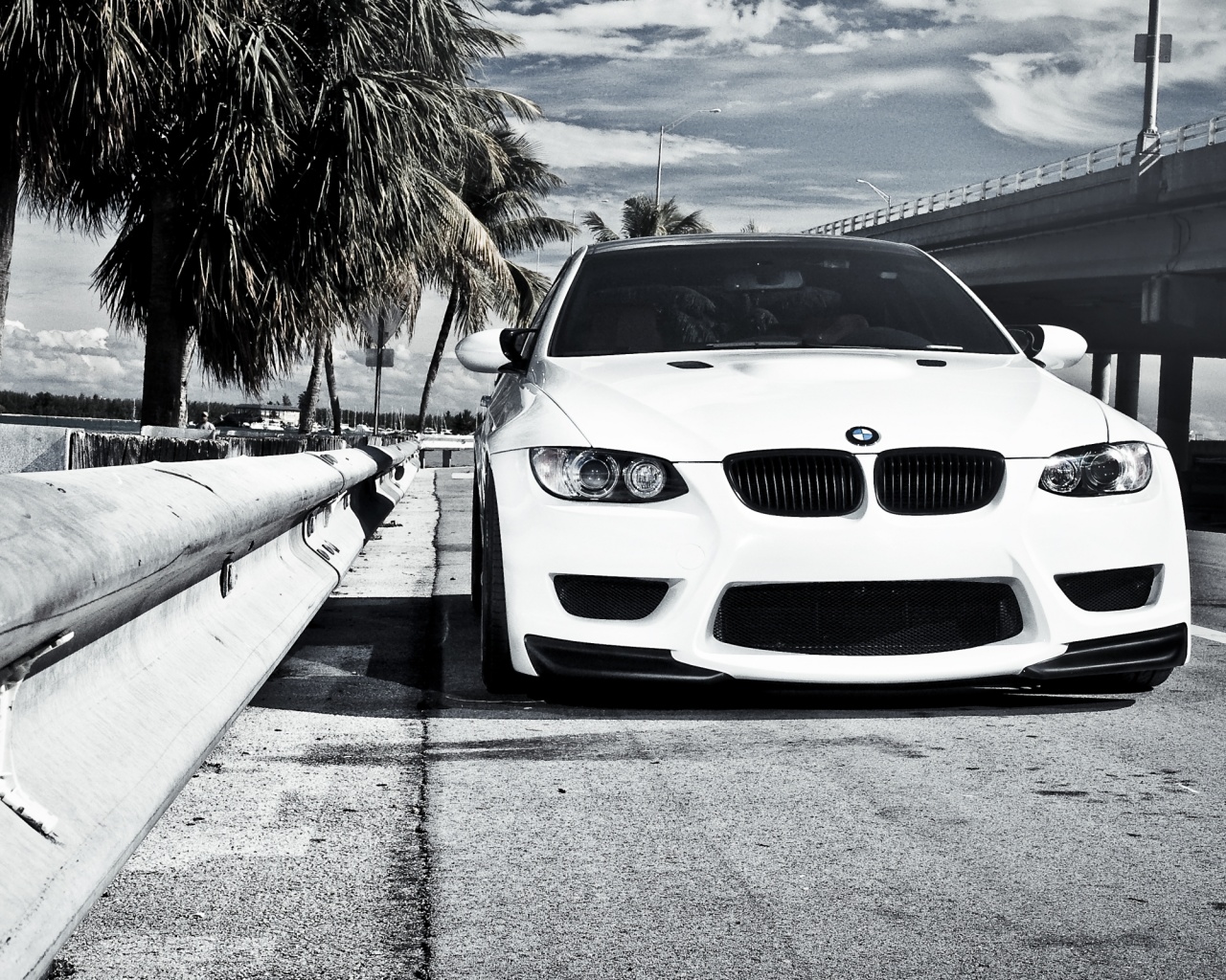 BMW в тропиках обои