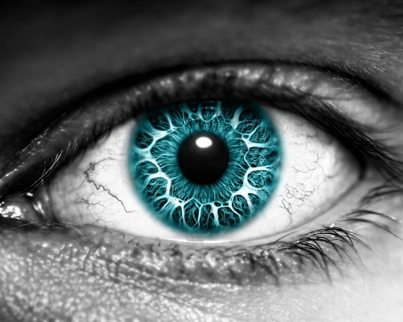 Бирюзовый глаз обои