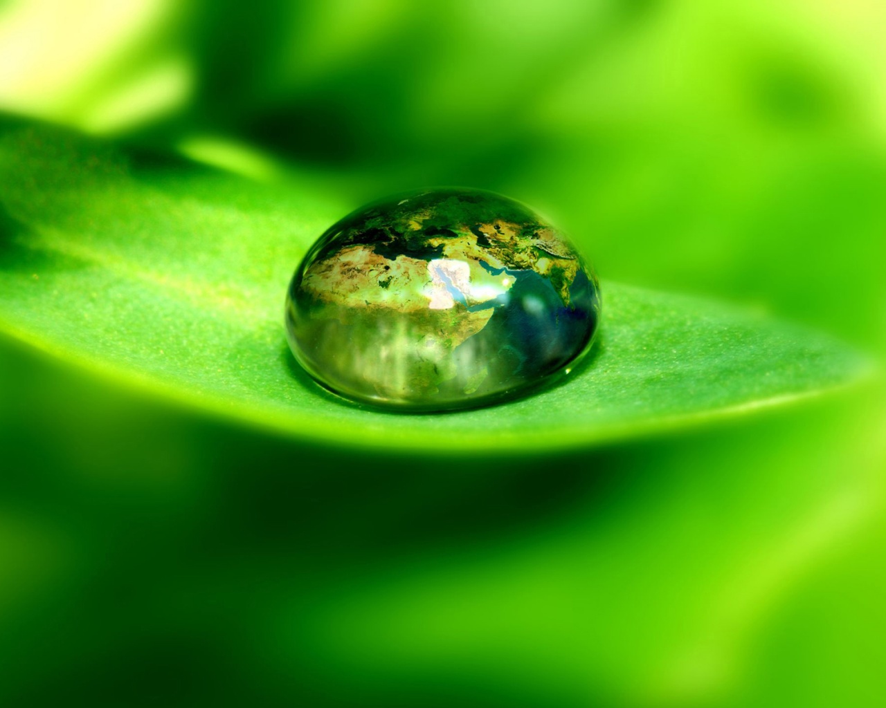 Целый мир в капле воды обои