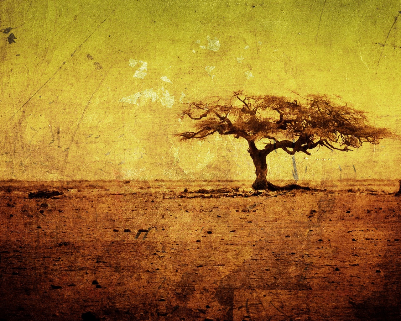 Гранжевое дерево в саванне обои