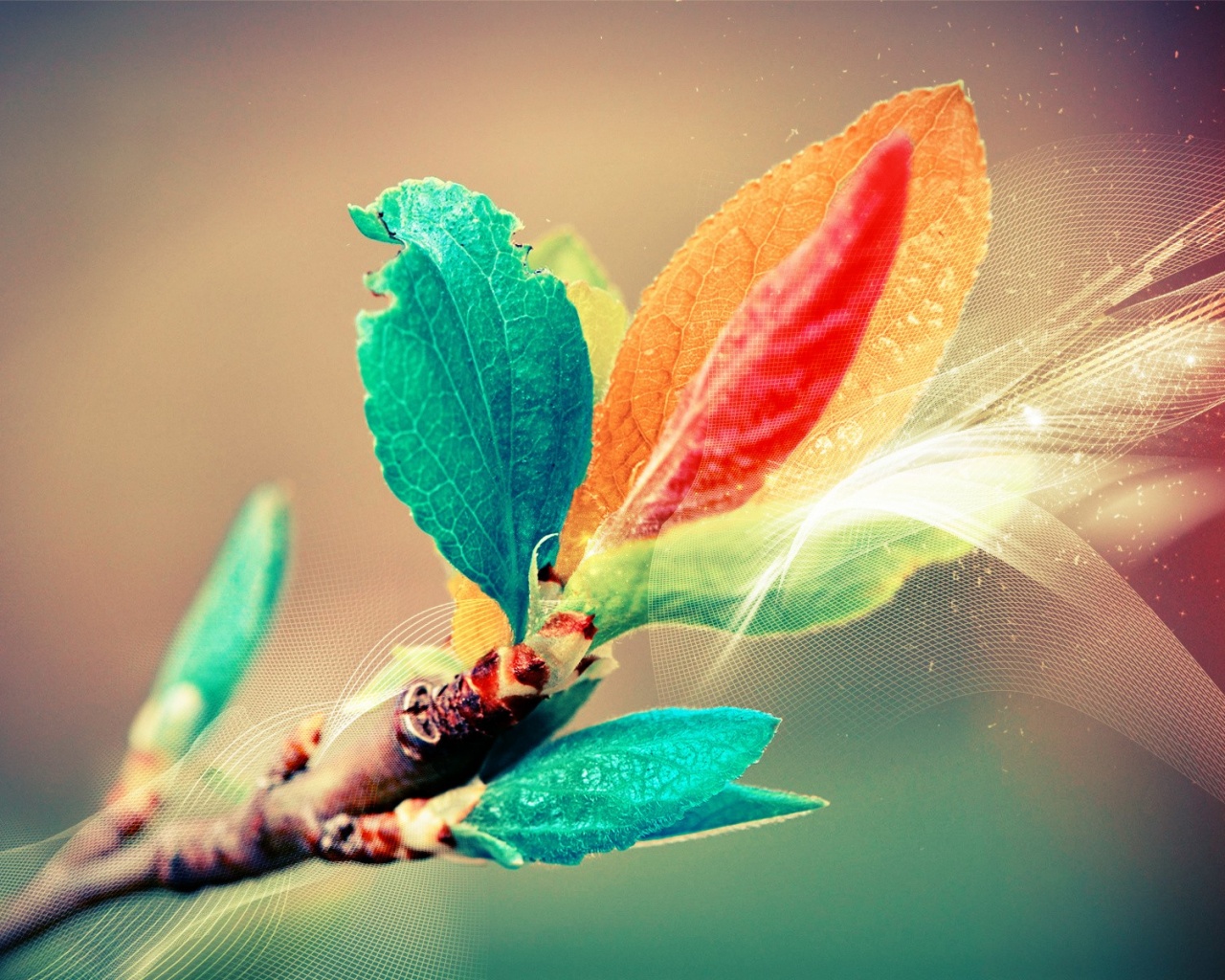 Разноцветные листья обои