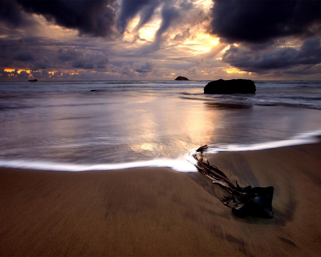 Коряга на пляже обои