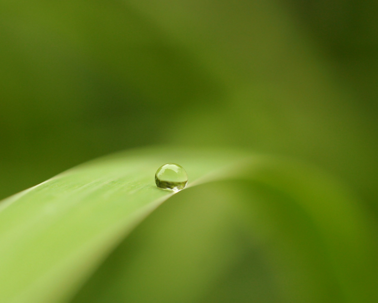 Капелька воды обои