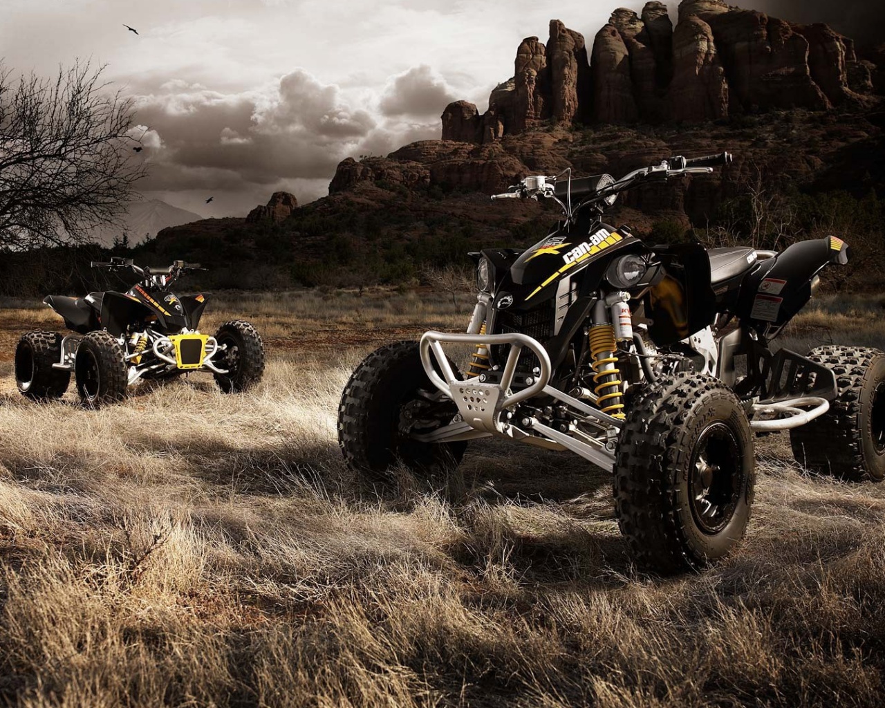 Квадроциклы обои