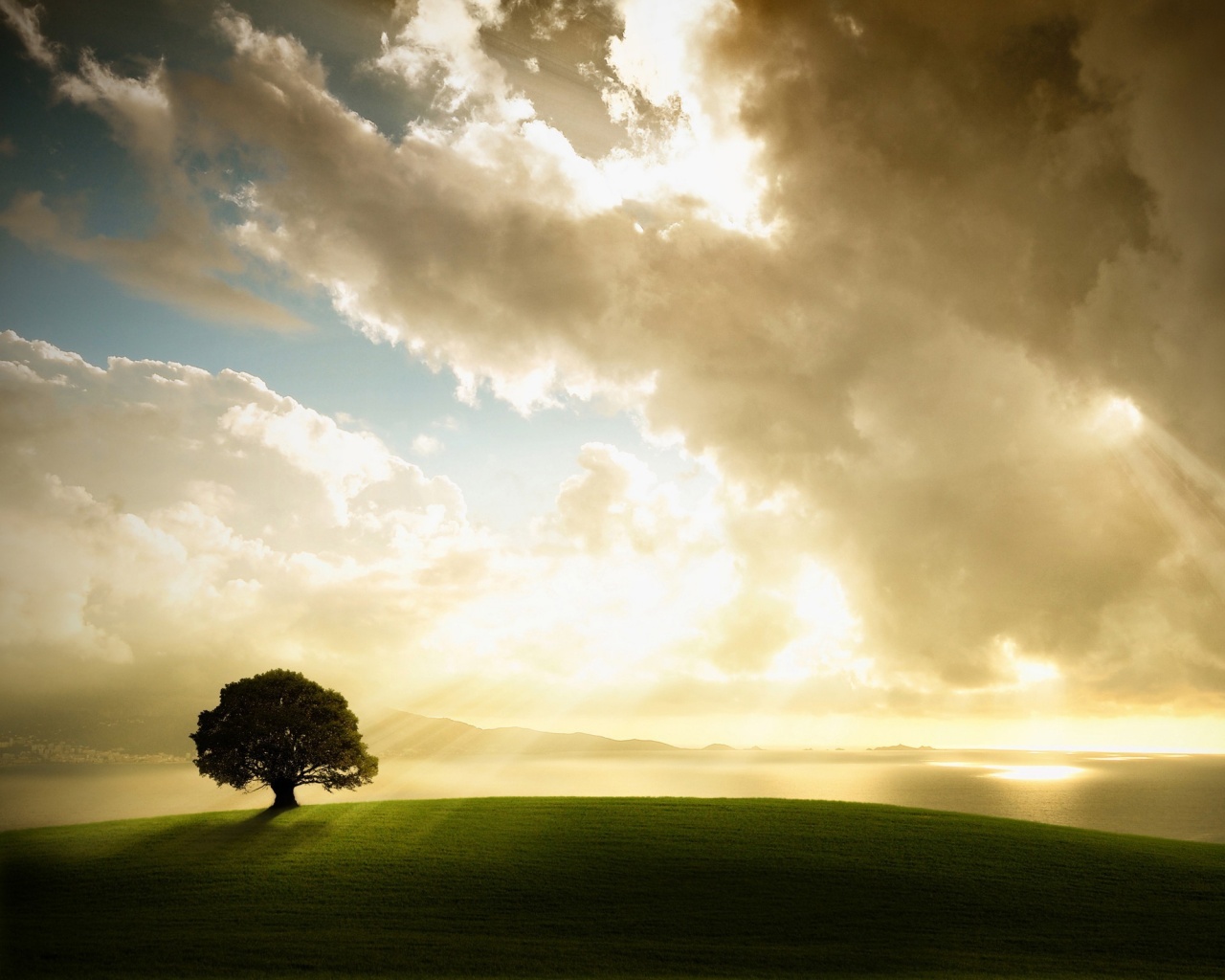 Холм и дерево обои