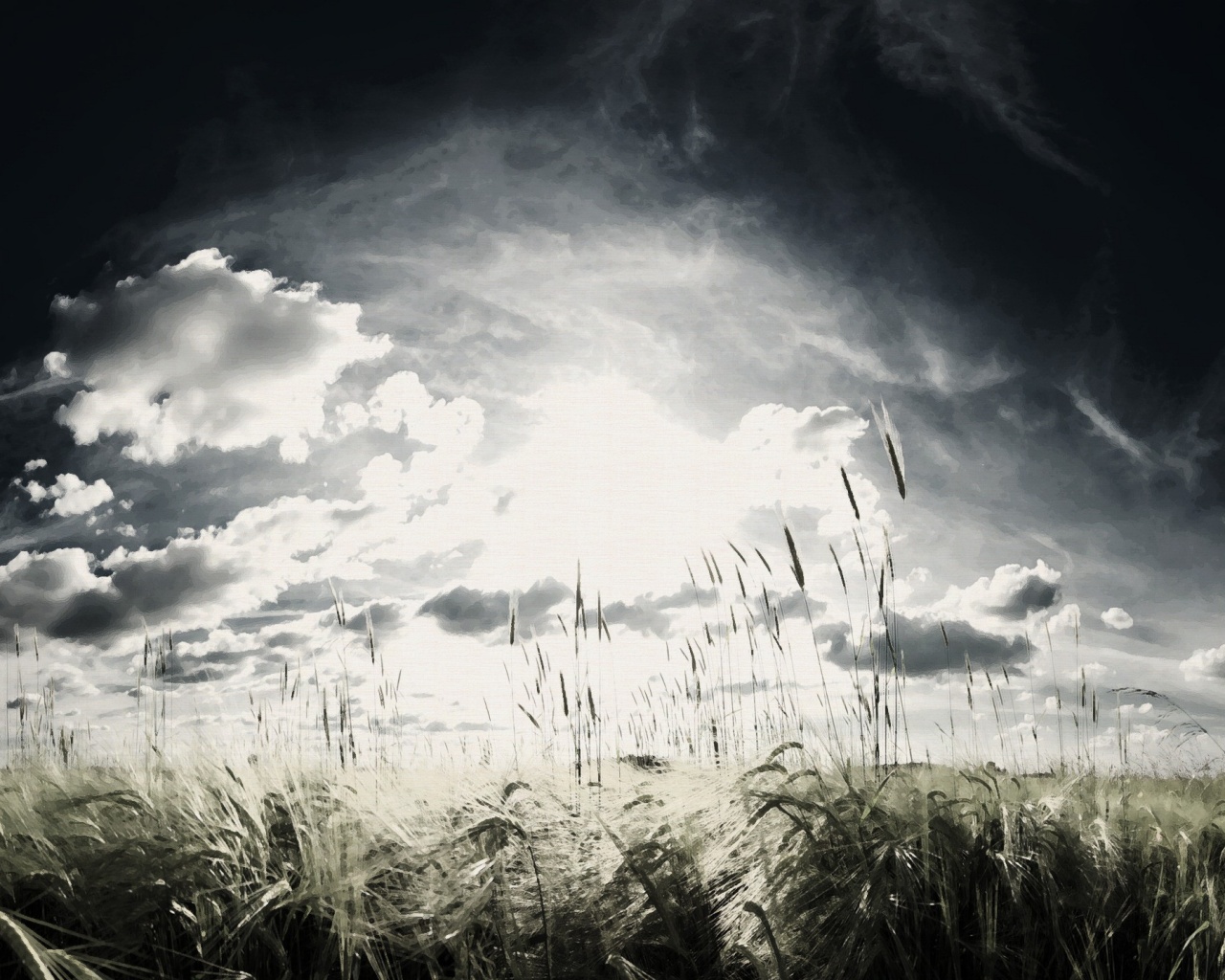 Сюрреалистичная трава обои