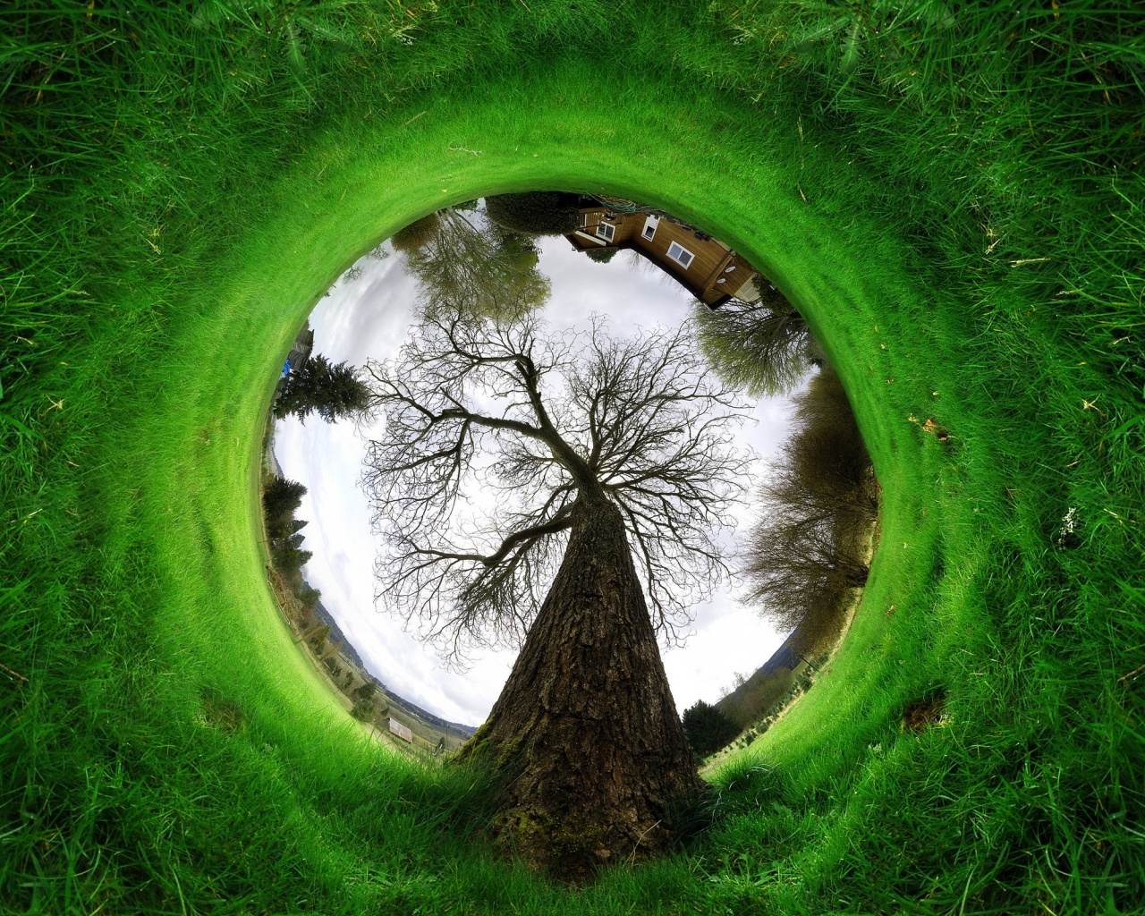 Другой взгляд на мир обои