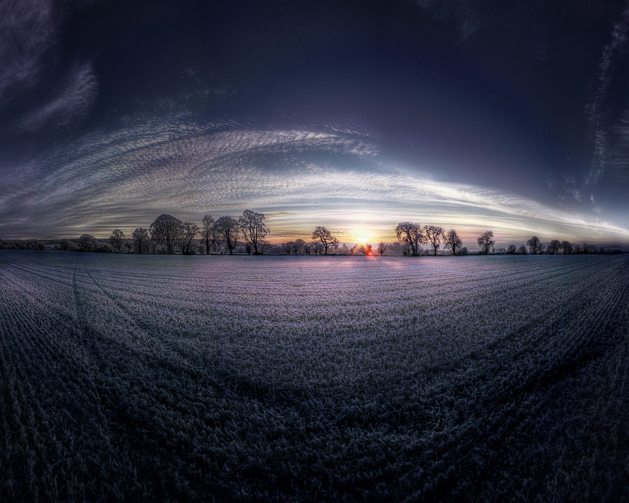 Поле широкоугольным объективом обои