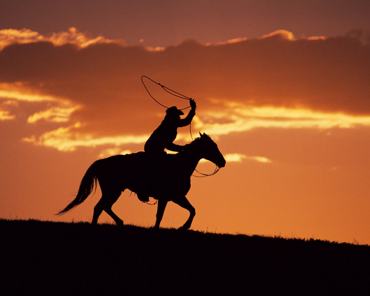 Силуэт ковбоя на закате обои