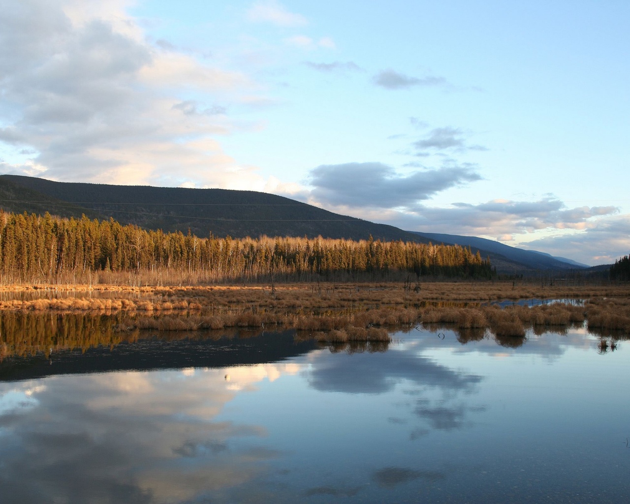 Осеннее озеро обои