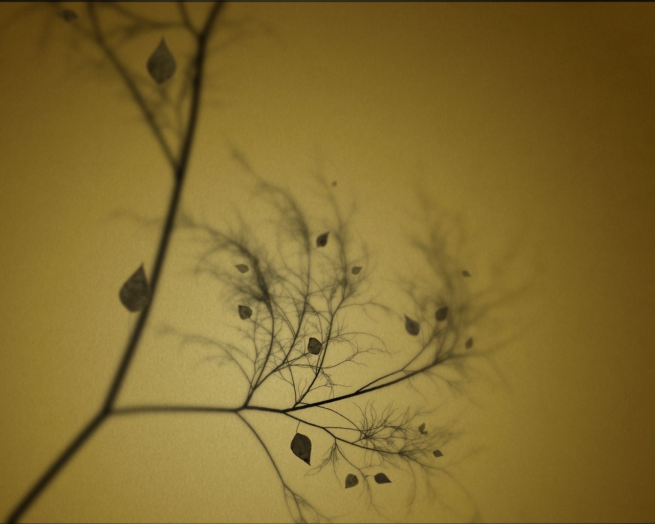 Это осень обои