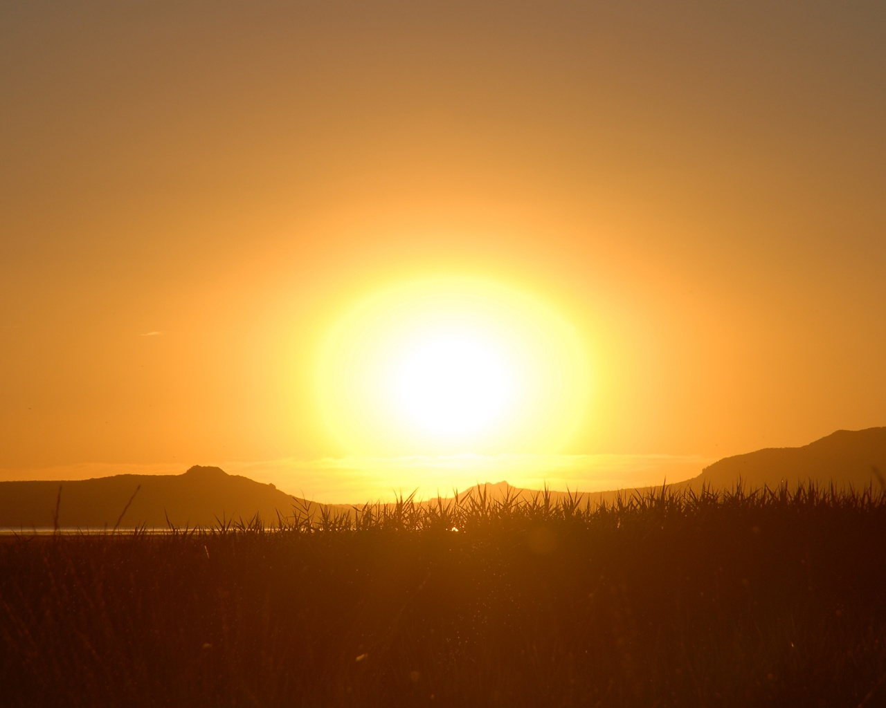 Сельский закат обои