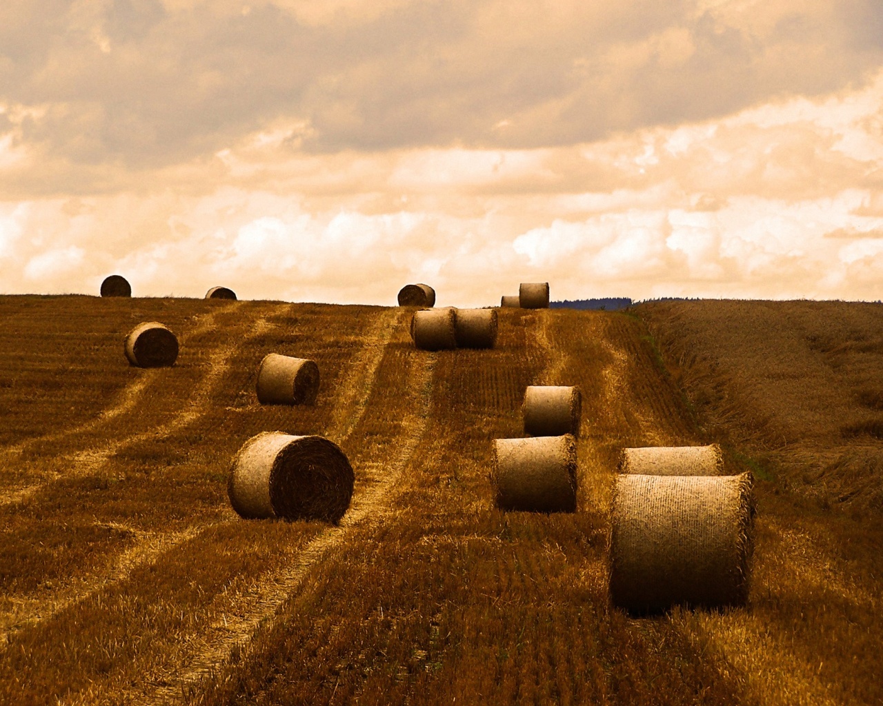 Уборка сена с поля обои
