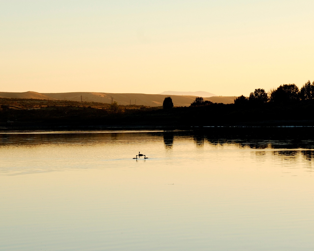 Утиное озеро обои