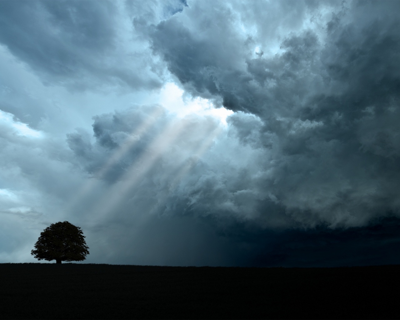 Избранный обои