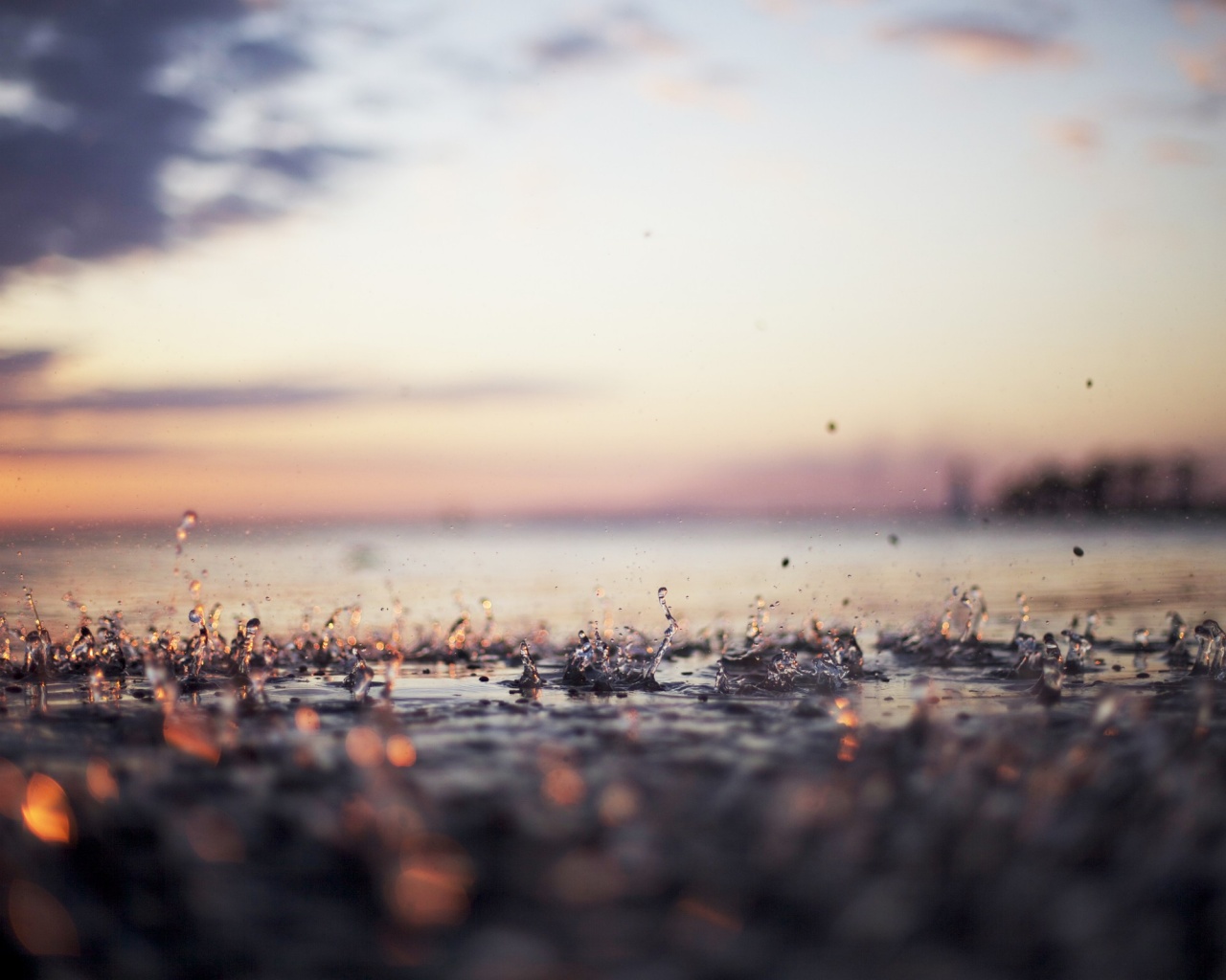 Дождь в макро обои