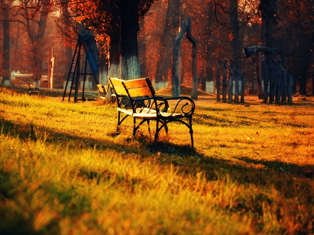 Скаймейка в осеннем парке обои