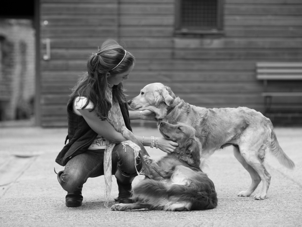 Девушка с собаками обои