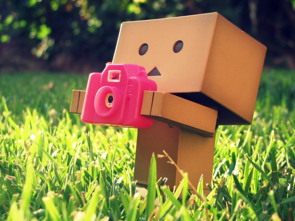 Данбо фотографирует обои