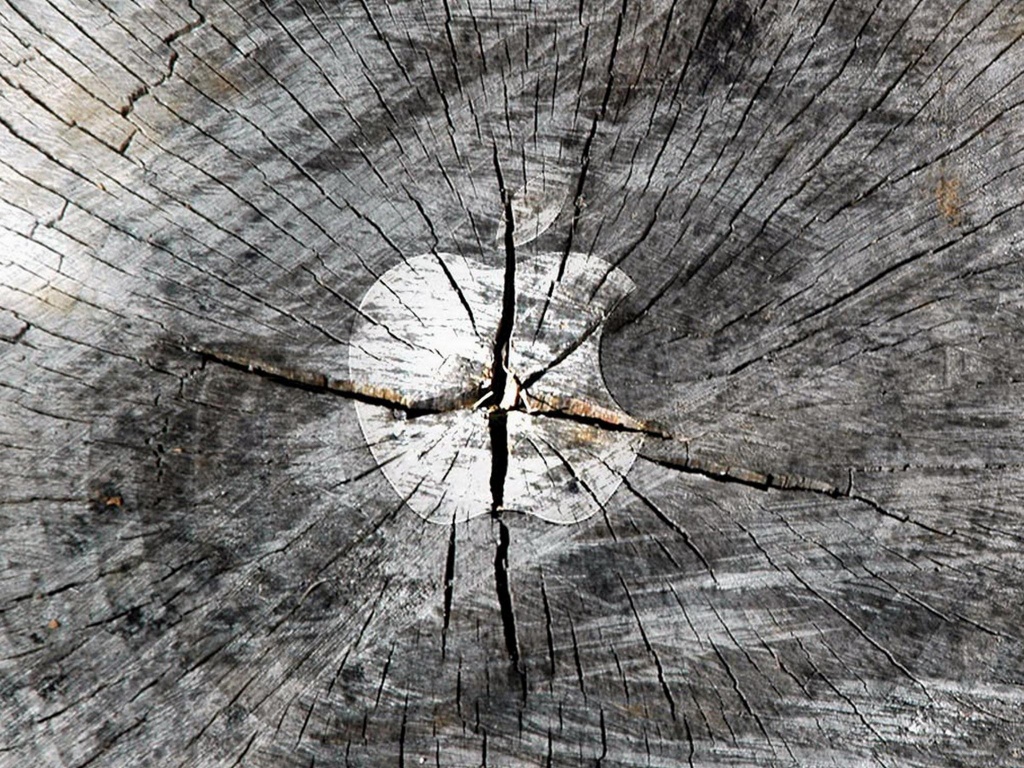 Логотип Apple на бревне обои