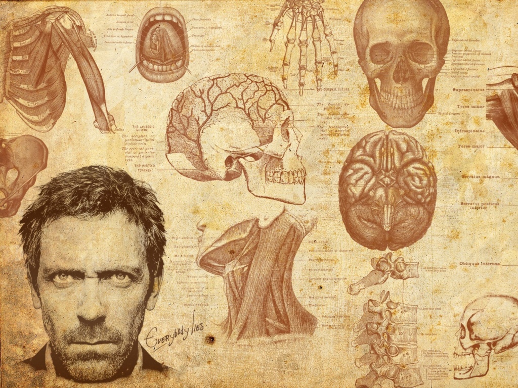 Анатомические рисунки доктора Хауса обои