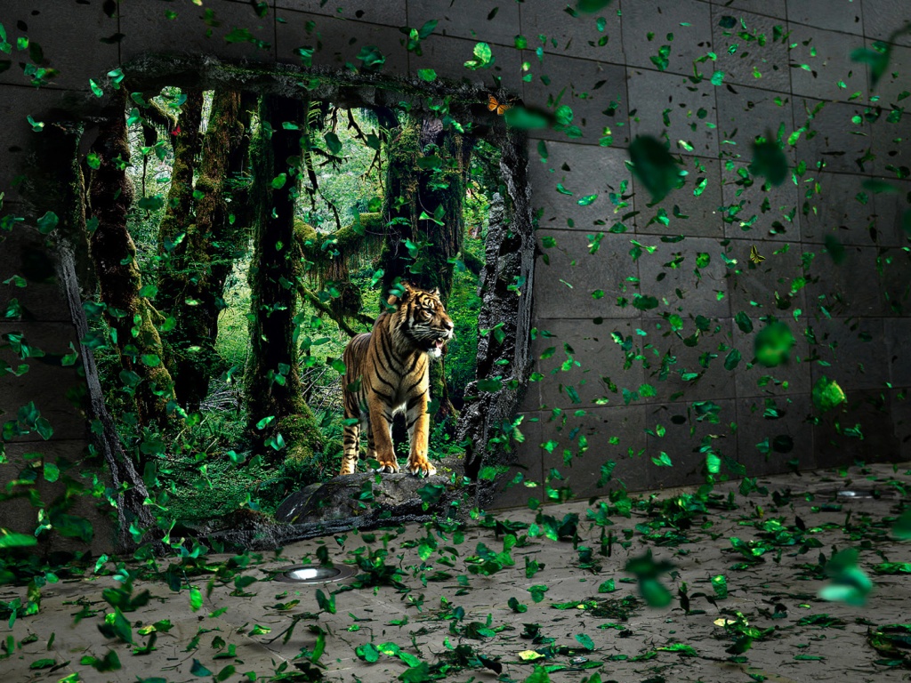 Портал в джунги обои