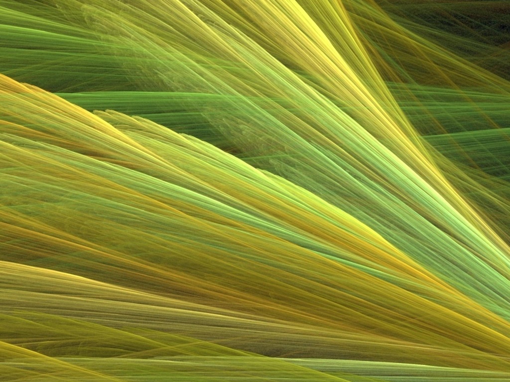 Прозрачные зеленоватые крылья обои