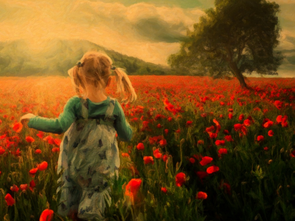 Девочка на маковом поле обои