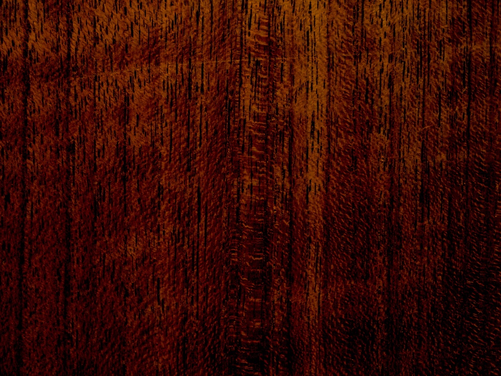 Темно-оранжевое дерево обои