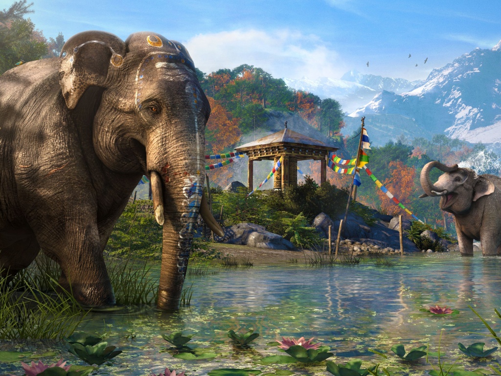 Слоники у воды обои