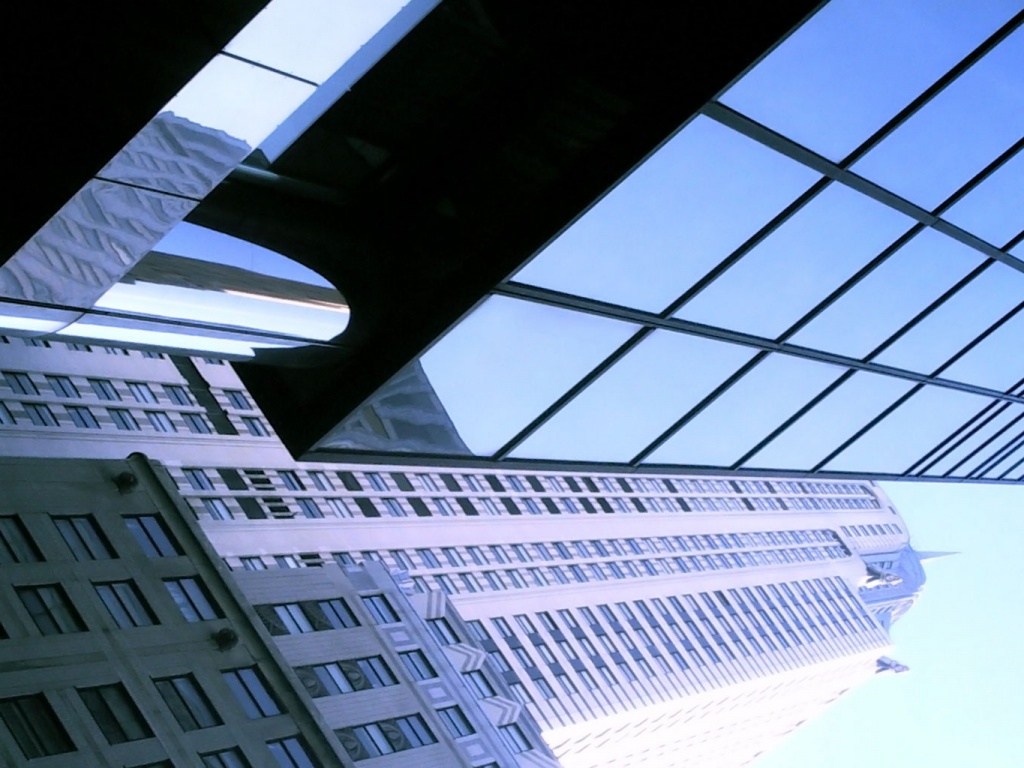 Взгляд вверх обои