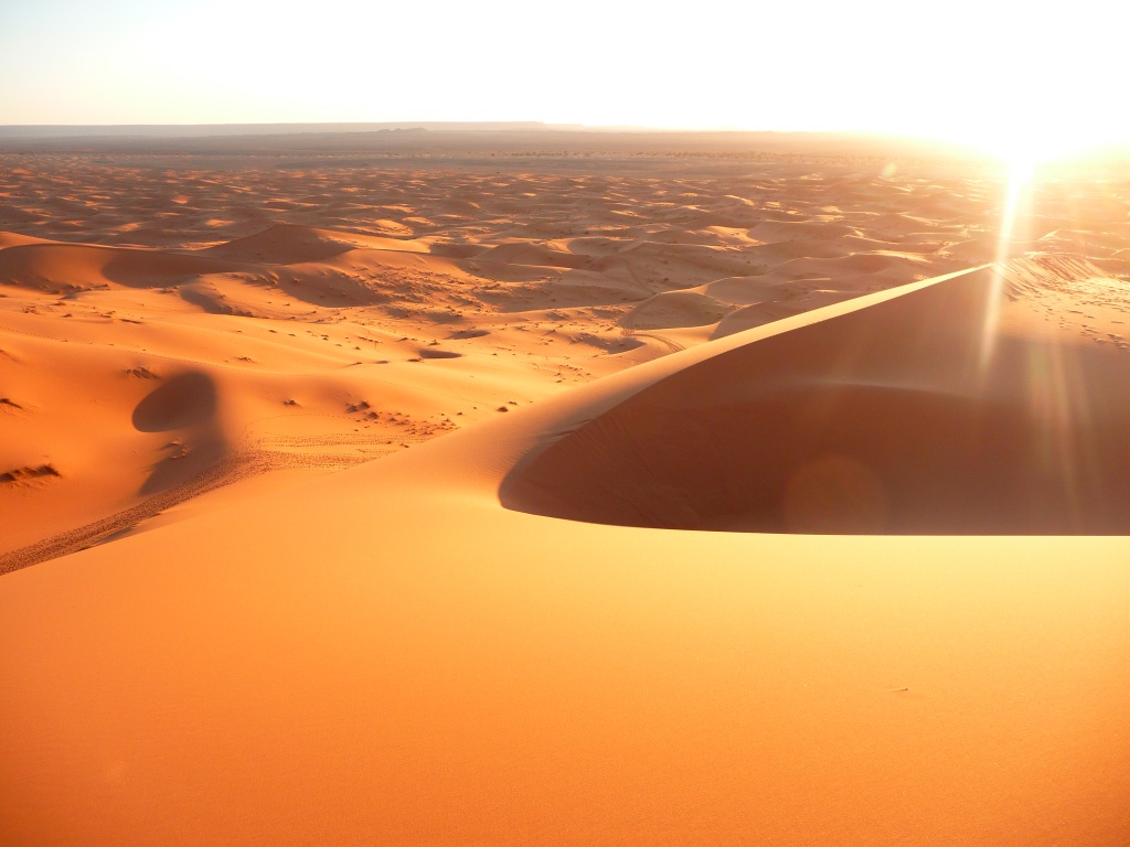 Солнечная пустыня обои