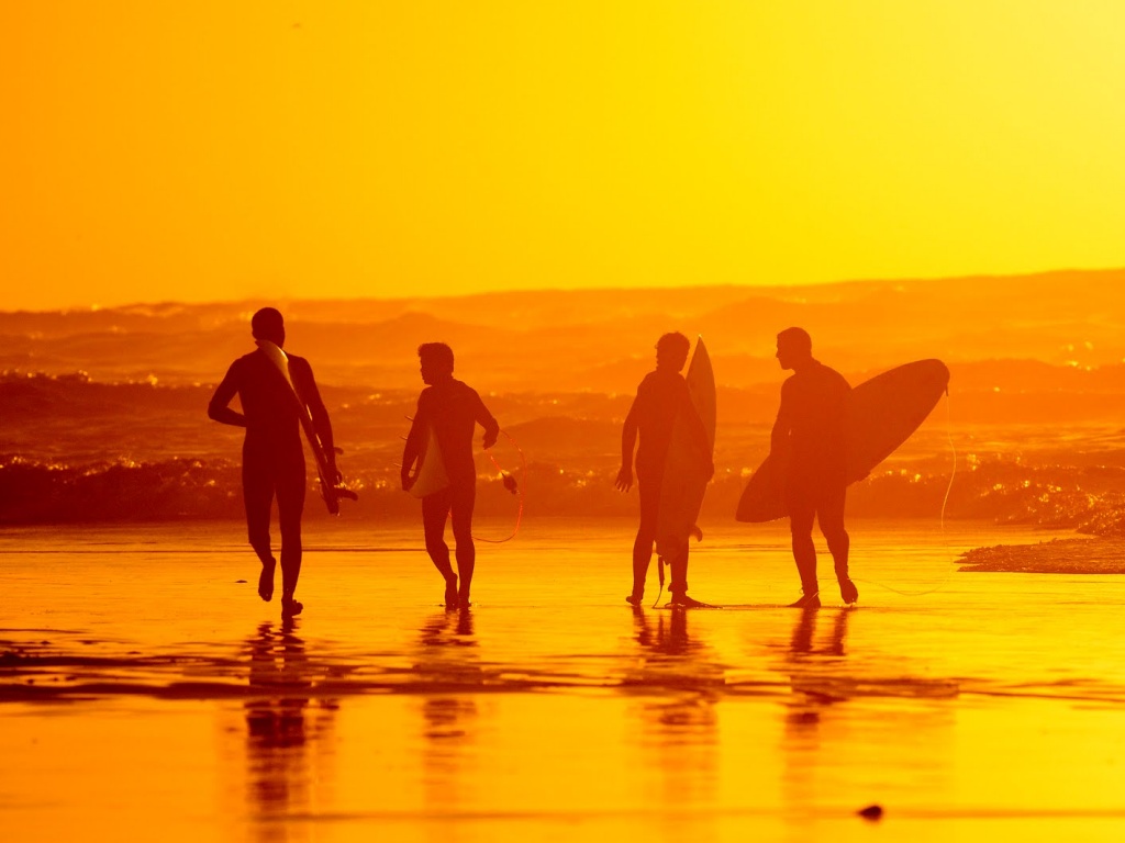 Серфингисты обои