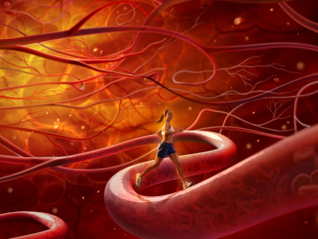 Бег крови обои