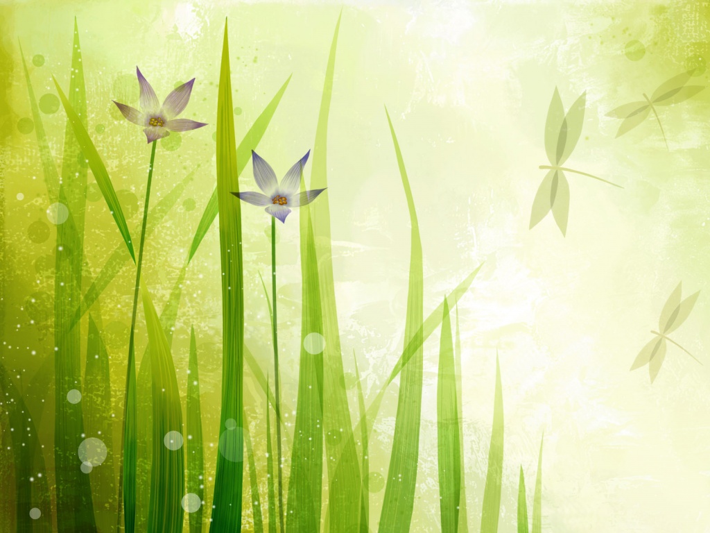 Векторные цветы обои