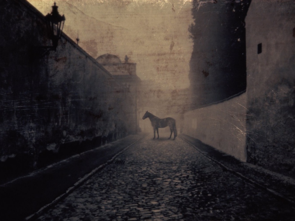 Лошадь в тумане обои