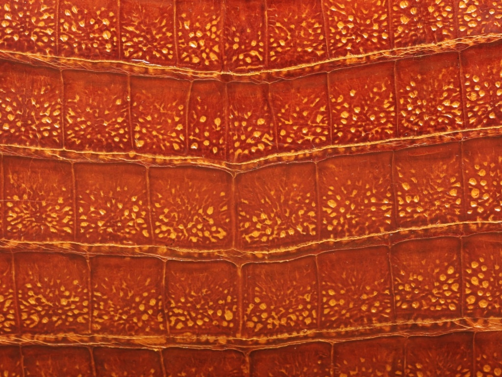 Текстура крокодильей кожи обои