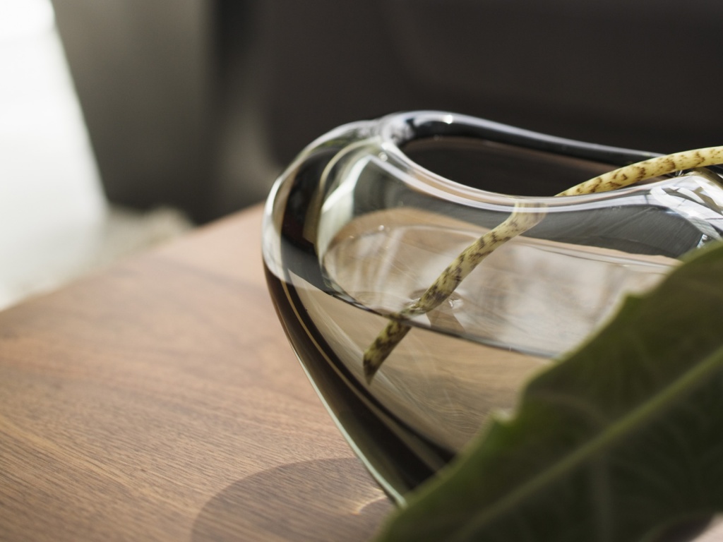 Ваза с листом обои