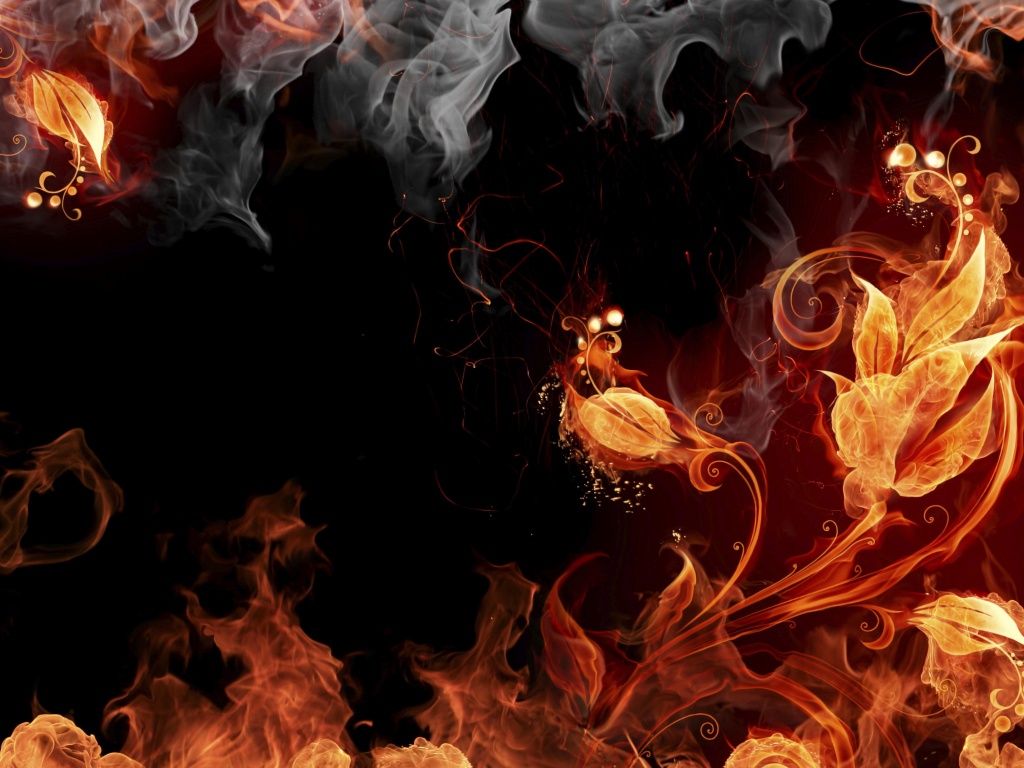 Огненные цветы обои