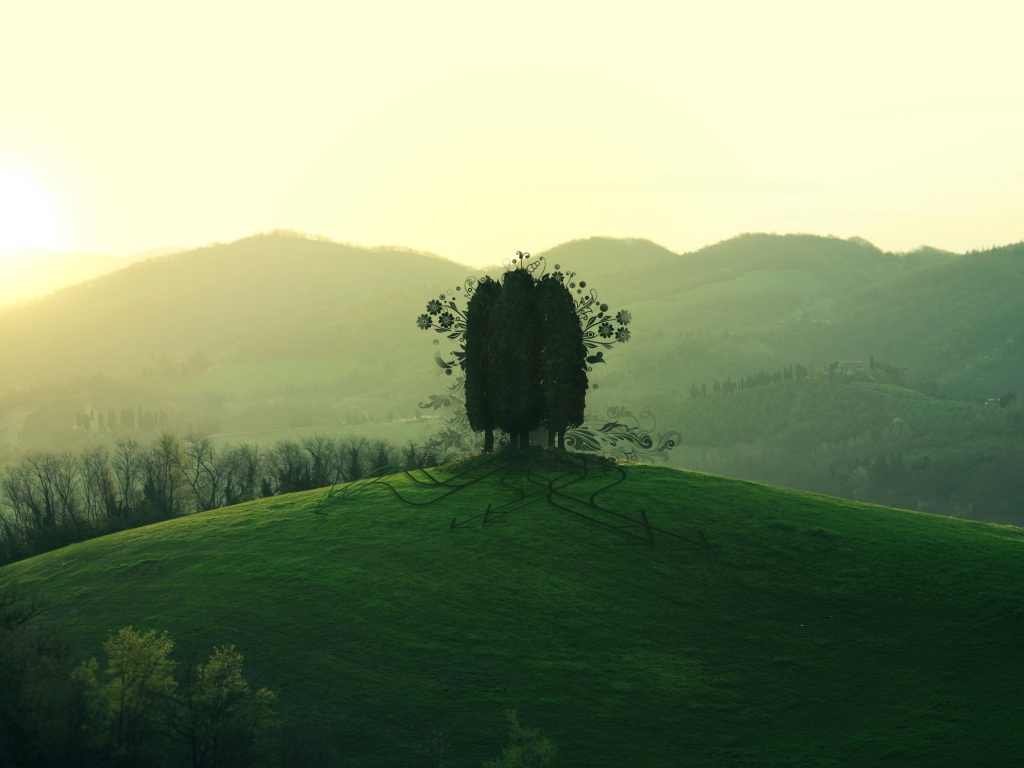 Деревья на холме обои