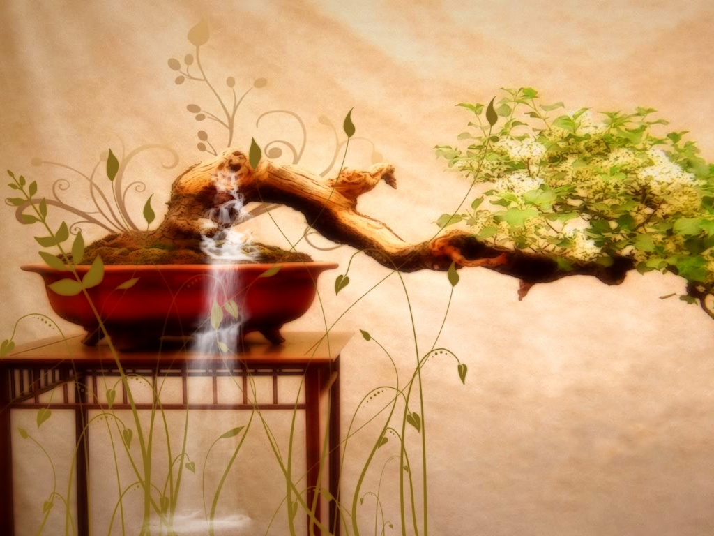 Карликовое дерево обои