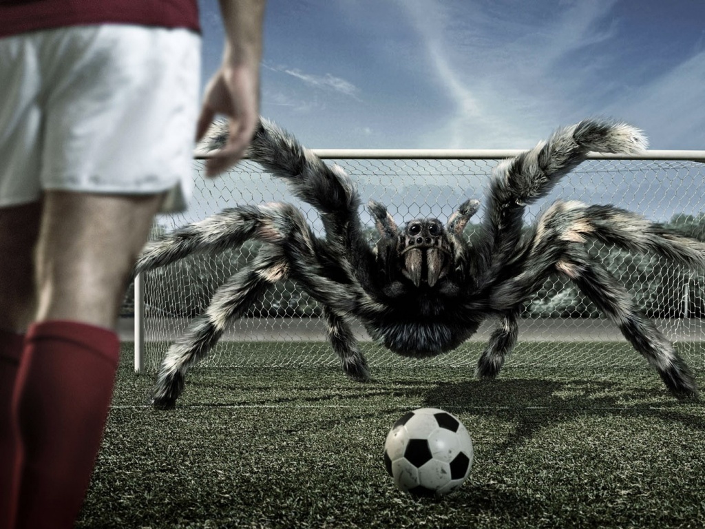 Вратарь обои