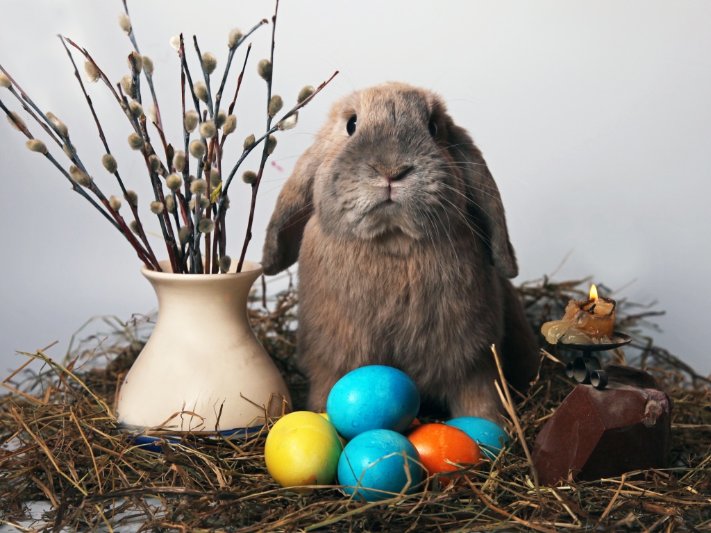 Пасхальный кролик обои