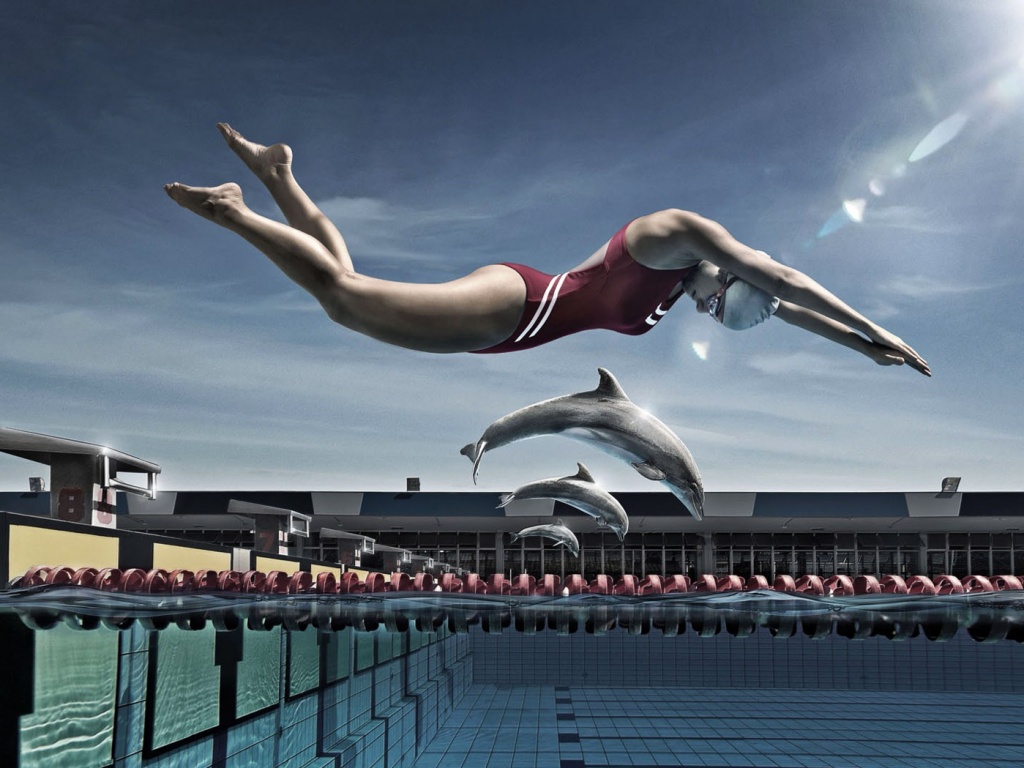 Соревнование обои