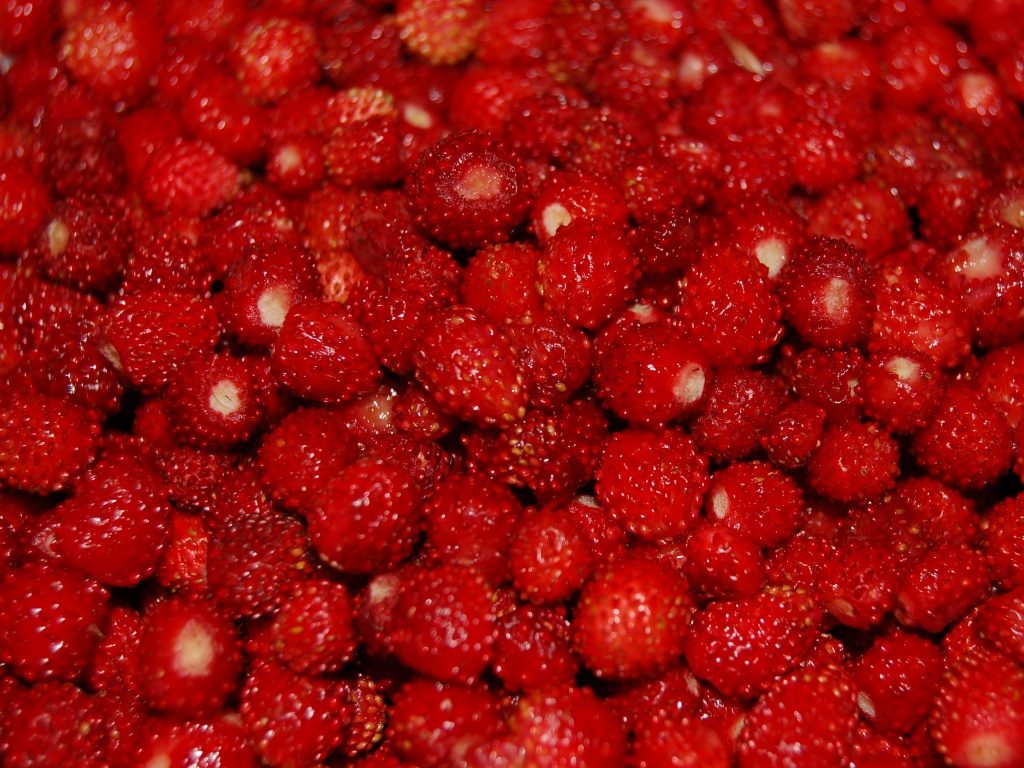 Земляника обои