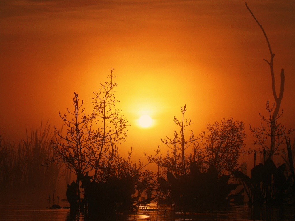 Доисторическое утро обои