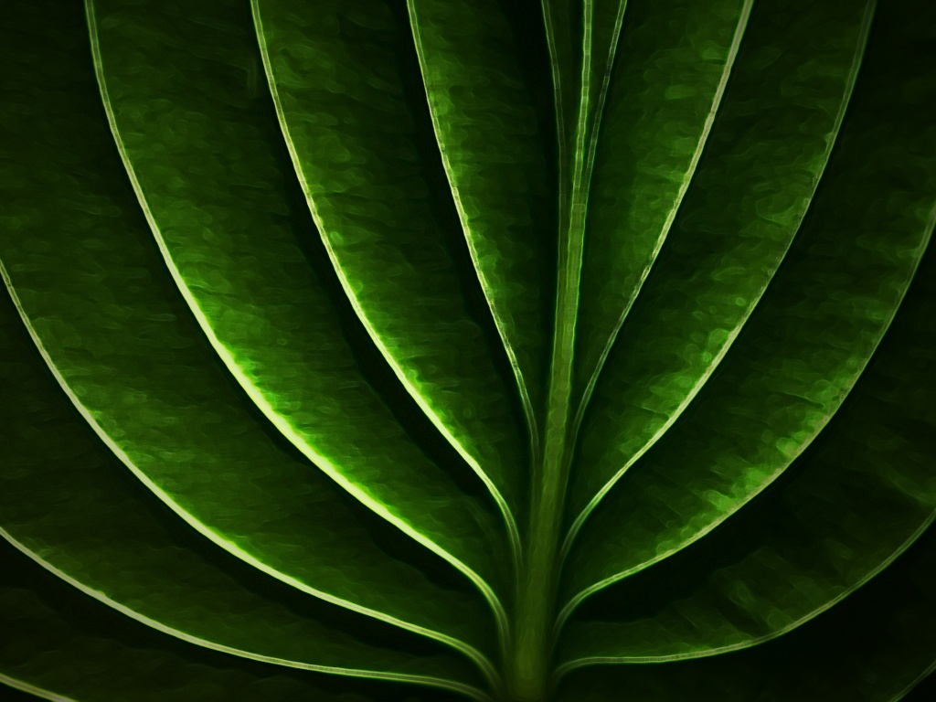 Неоновый лист обои