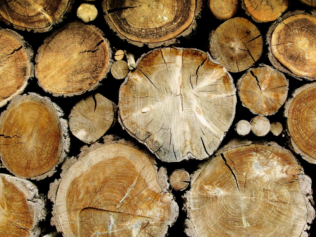 Древесный спил обои