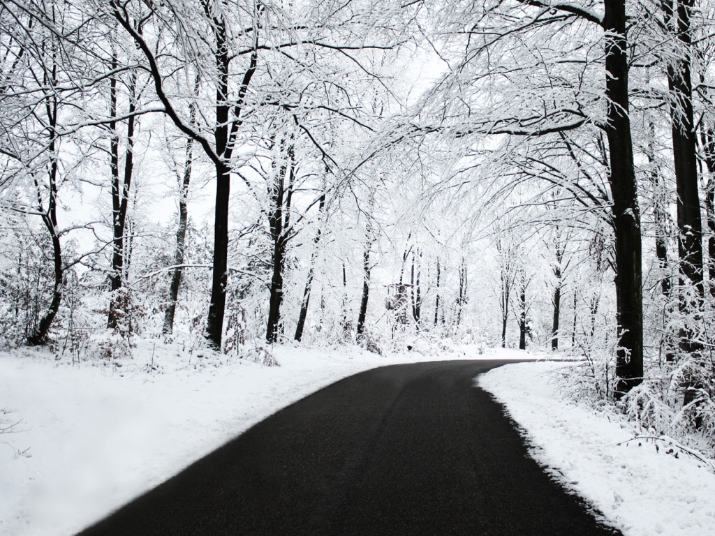 Дорога в зимнем лесу обои