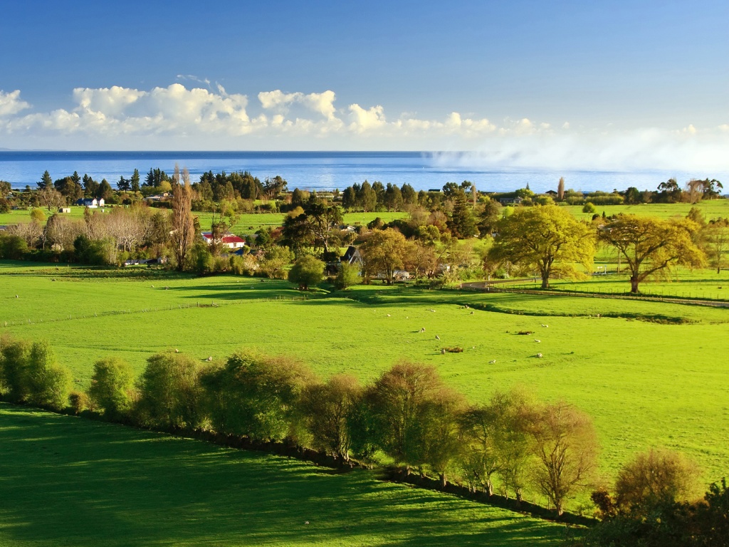 Сельская природа обои